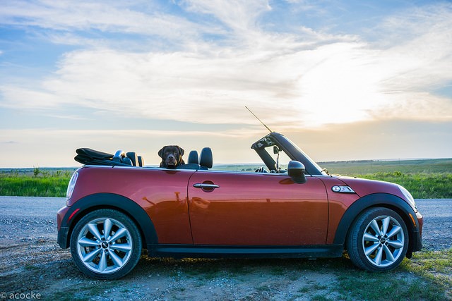 Your Auto Policy: Worth Another Look